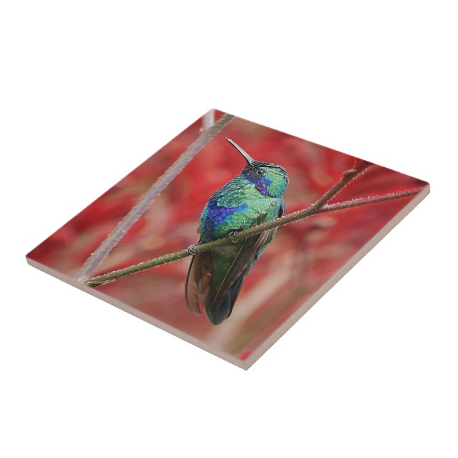 Azulejo De Cerâmica Brilho iridescente (Lateral)