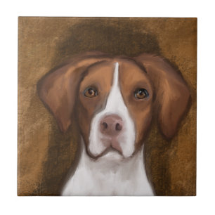 Azulejo De Cerâmica Brittany Spaniel
