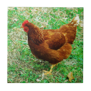 Azulejo De Cerâmica Brown Hen