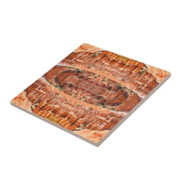 Azulejo De Cerâmica Bryce Canyon Park Utah Landscape Hoodoos Photo