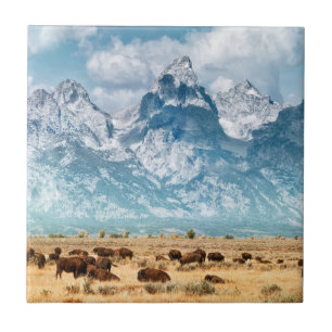 Azulejo De Cerâmica Búfalo abaixo das montanhas grandes de Teton