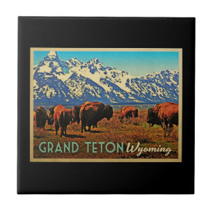 Azulejo De Cerâmica Búfalo grande de Teton Wyoming