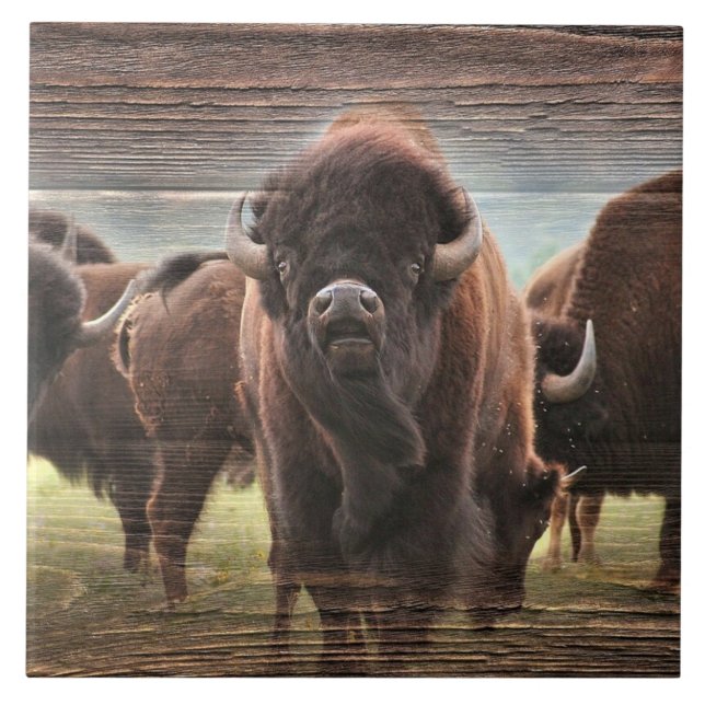 Azulejo De Cerâmica Buffalo Herd (Frente)
