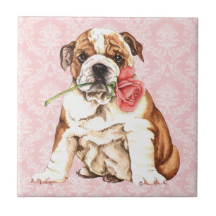 Azulejo De Cerâmica Buldogue cor-de-rosa dos namorados