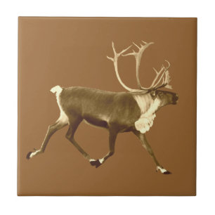 Azulejo De Cerâmica Bull desde o Caribe - Sepia