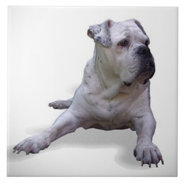 Azulejo De Cerâmica BULLDOG 2, Pet Love, Best Frial KEEPSAKE (Frente)