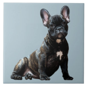 Azulejo De Cerâmica BULLDOG 3, Pet Love, Best Frial KEEPSAKE