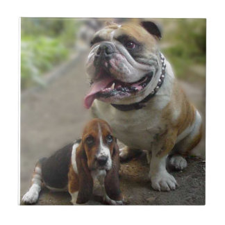 Azulejo De Cerâmica Bulldog & BabyBassett - of aware my best friend