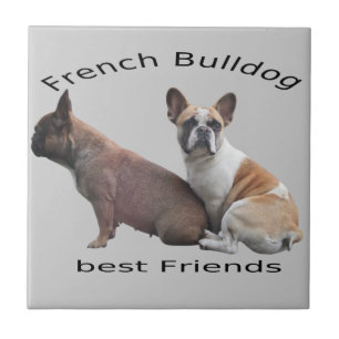 Azulejo De Cerâmica Bulldogs franceses lajota