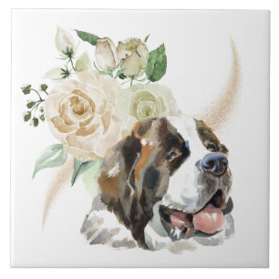 Azulejo De Cerâmica Buquê de Rosa Branco Santo Bernard Dog
