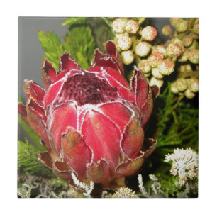 Azulejo De Cerâmica Buquê do Protea