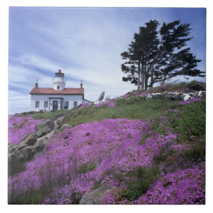 Azulejo De Cerâmica CA, Crescent City, farol de Battery Point com