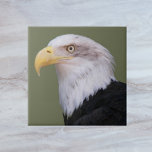 Azulejo De Cerâmica Cabeça de Águia Bald Americana<br><div class="desc">Azulejo cerâmico com a foto de uma águia-careca americana madura com cabeça branca. Selecione o tamanho do seu azulejo. Faz uma trivet de cozinha excelente!</div>