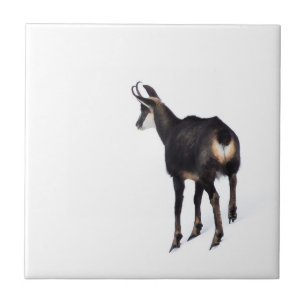 Azulejo De Cerâmica Cabra de montanha de Chamois alpina minimalista na