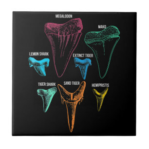 Azulejo De Cerâmica Caça aos dentes de tubarão - Presentes de tubarão