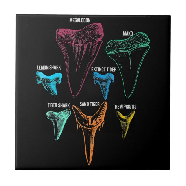 Azulejo De Cerâmica Caça aos dentes de tubarão - Presentes de tubarão  (Frente)