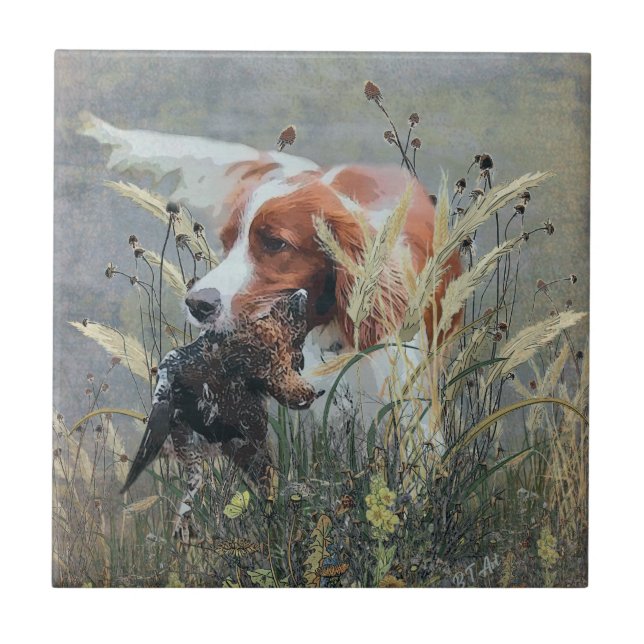 Azulejo De Cerâmica Caça com Epagneul Breton (Frente)