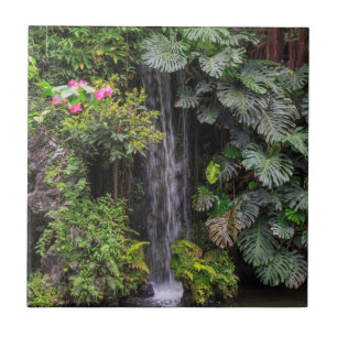 Azulejo De Cerâmica Cachoeira do Jardim Luxuriante, China