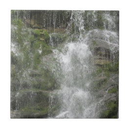 Azulejo De Cerâmica Cachoeira La Chute no Parque Nacional Forillon