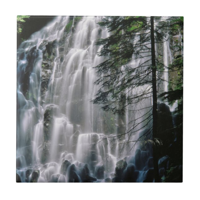 Azulejo De Cerâmica Cachoeira na floresta, Oregon (Frente)