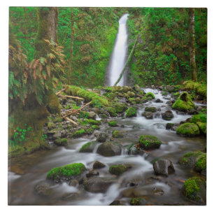Azulejo De Cerâmica Cachoeira Ruckel Creek, Desfiladeiro do Rio Columb