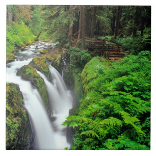 Azulejo De Cerâmica Cachoeira Sol Duc no Parque Nacional Olímpico em