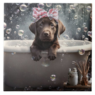 Azulejo De Cerâmica Cachorrinho Labrador Chocolate Fofo Spa Banho de E