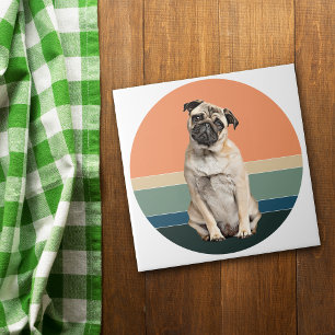 Azulejo De Cerâmica Cachorro Adormecido