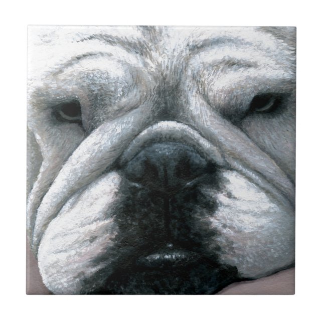 Azulejo De Cerâmica Cachorro Bulldog Inglês 118 (Frente)