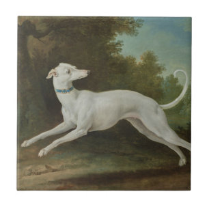 Azulejo De Cerâmica Cachorro de Greyhound Branco (por Jean-Baptiste Ou