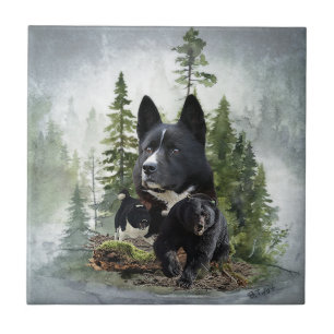 Azulejo De Cerâmica Cachorro de Urso Karelian