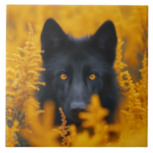 Azulejo De Cerâmica Cachorro Negro com Olhos Ouro Incríveis