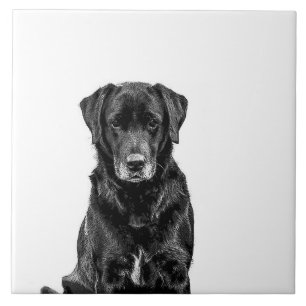 Azulejo De Cerâmica Cachorro Negro-Labrador Cachorro-Bonito