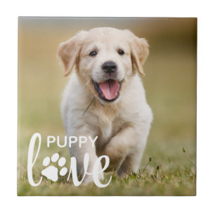 Azulejo De Cerâmica Cachorro Personalizado De Foto Pet Personalizado C