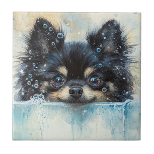 Azulejo De Cerâmica Cachorro Pomeraniano Bonito na Banheira