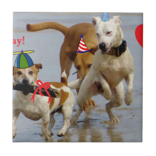 Azulejo De Cerâmica cachorros de aniversário felizes