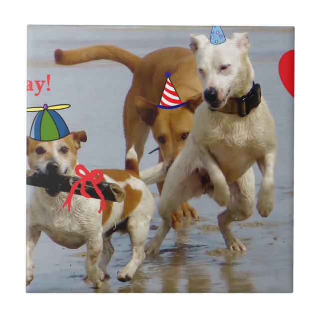 Azulejo De Cerâmica cachorros de aniversário felizes (Frente)