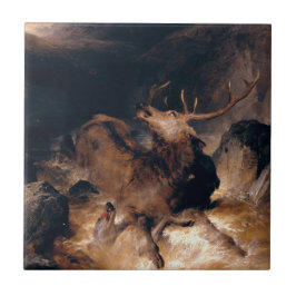 Azulejo De Cerâmica Cachorros de cervo em uma corrente torrencial