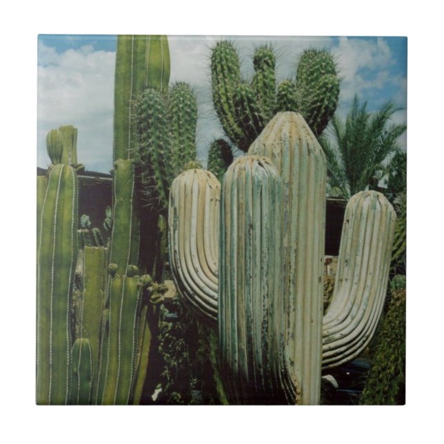 Azulejo De Cerâmica Cacto da arizona (Frente)