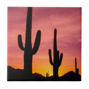 Azulejo De Cerâmica Cacto Saguaro ao nascer do sol, Arizona