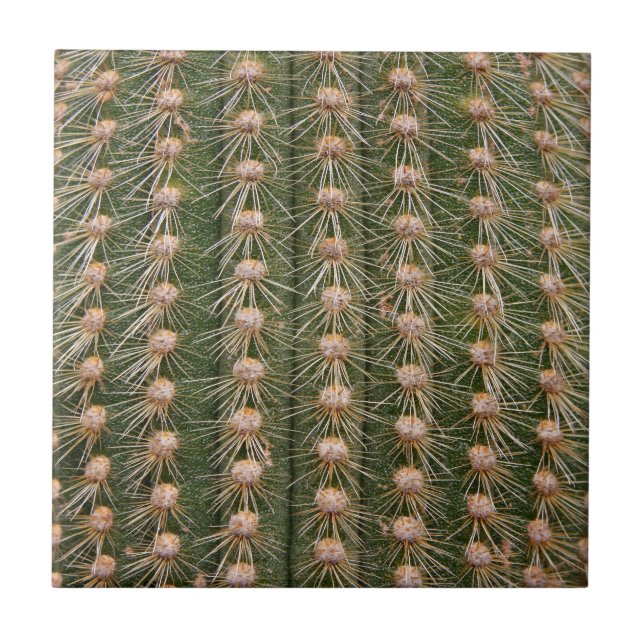 Azulejo De Cerâmica Cactus fecha (Frente)