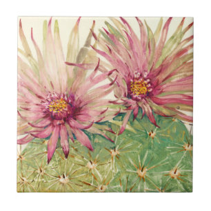 Azulejo De Cerâmica Cactus - Flores Rosa