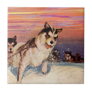 Azulejo De Cerâmica Cães de trenó siberianos da década de 1940 a fa