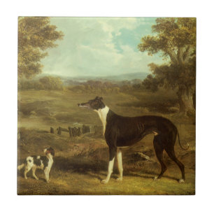 Azulejo De Cerâmica Cães, Greyhound e Spaniel, Doctor Fop por Herring