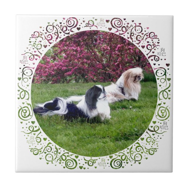 Azulejo De Cerâmica Cães pequinês de várias cores (Frente)