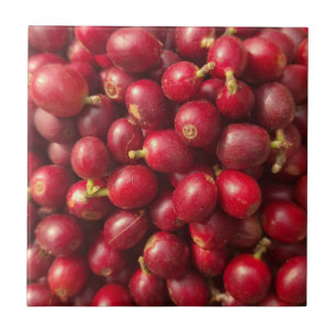 Azulejo De Cerâmica Café cereja vermelho fresco e maduro