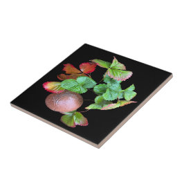 Azulejo De Cerâmica Cair Na Estação De Morango Foto Do Jardim Do Quint