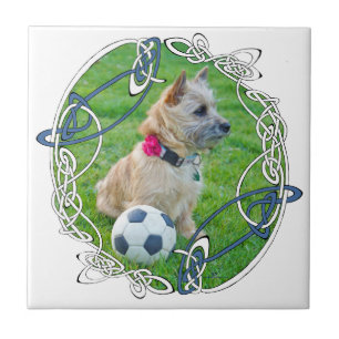 Azulejo De Cerâmica Cairn Terrier Futebol