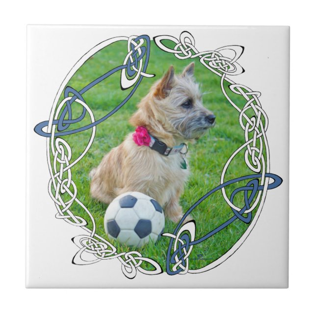 Azulejo De Cerâmica Cairn Terrier Futebol (Frente)