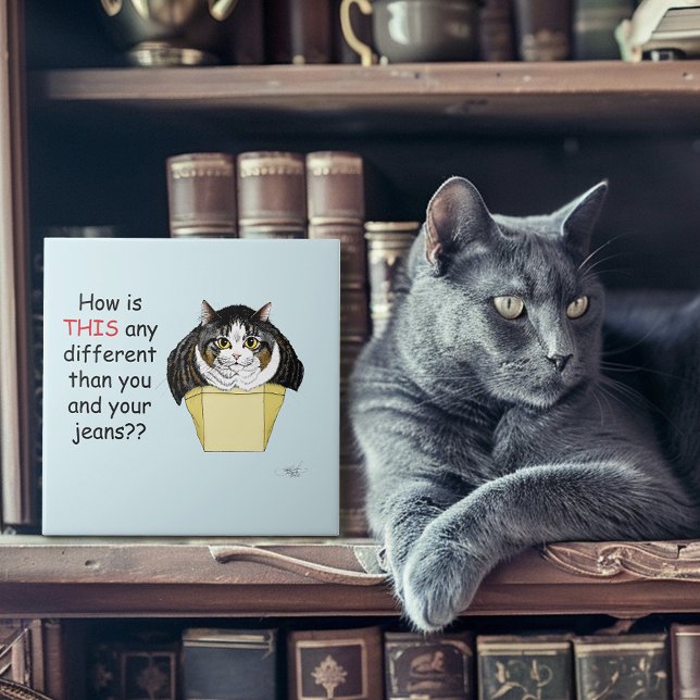 Azulejo De Cerâmica Caixa de Gatos Engraçado Chubby Tabby (Criador carregado)